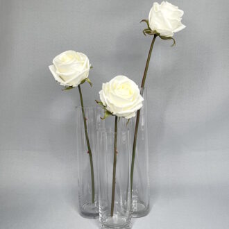 Rose Vase Set